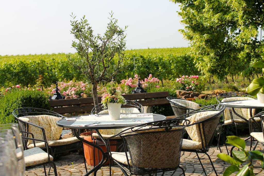 Villa Hochdoerffer Gaestehaus Landau in der Pfalz Eksteriør billede